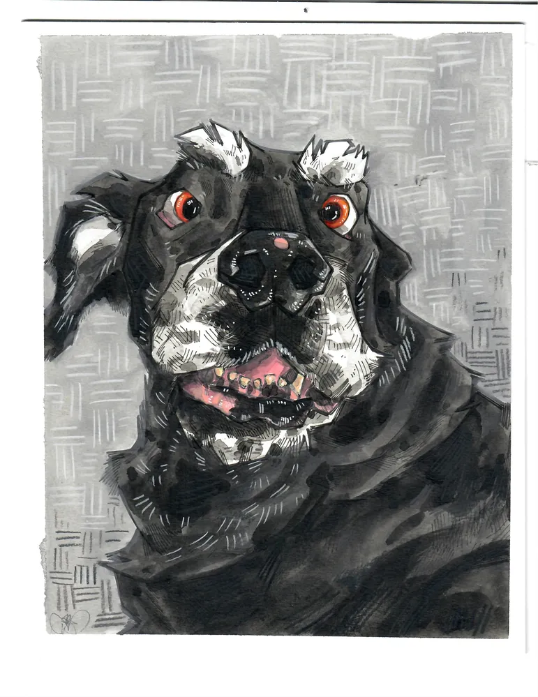 The Art of Michael John