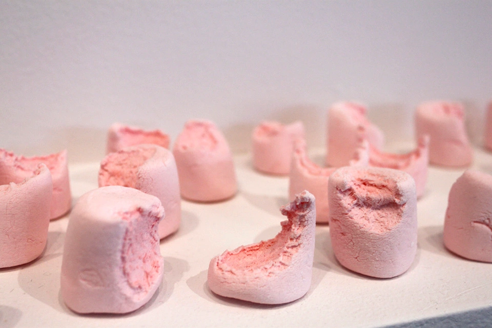 Marshmallow test photo series by Amy Jorgensen